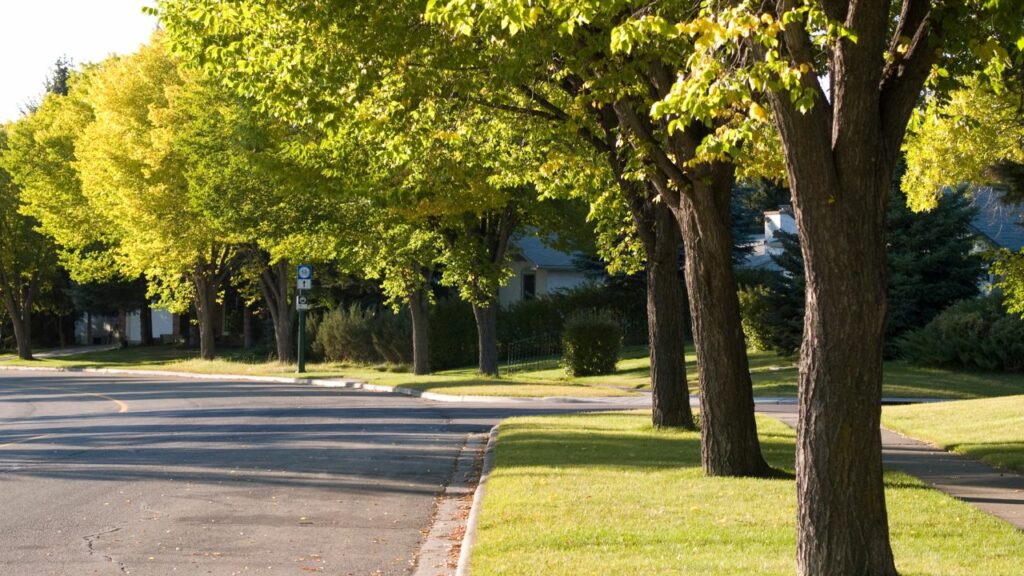 Área verde em bairro residencial.